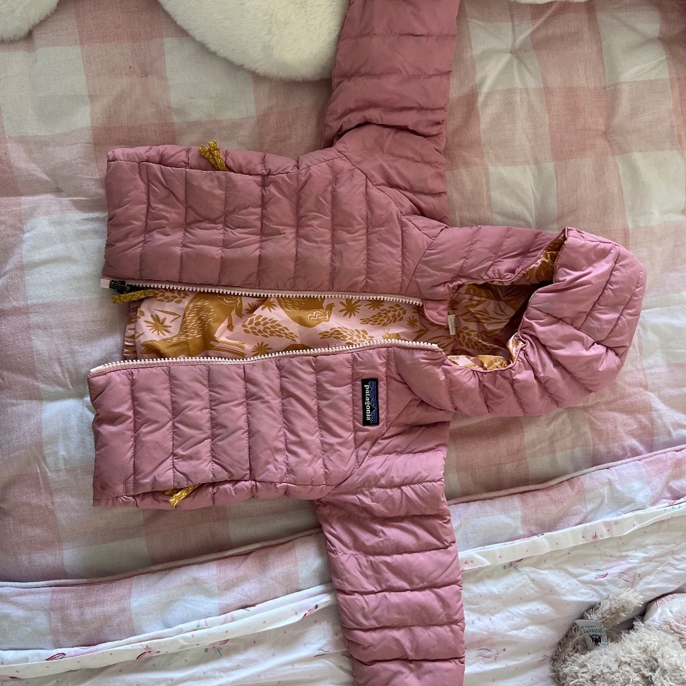 Patagonia Kids & Baby 12-18 month Down Sweater with Hood
